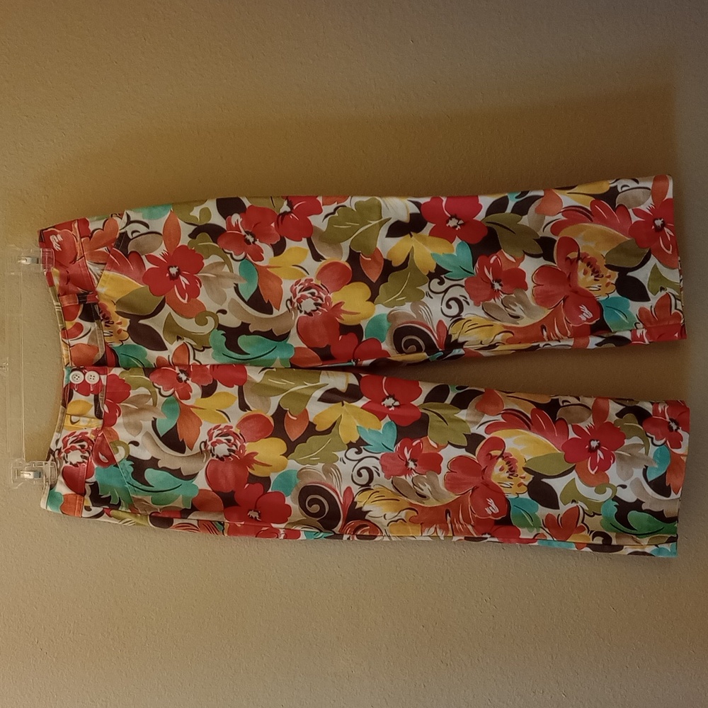 Talbot's Sz 4 multi color cropped pants NWOT